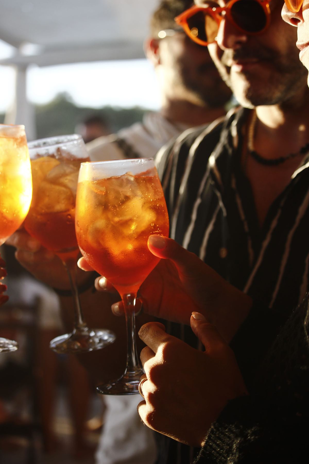 Brindis entre amigos